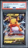 Raichu V