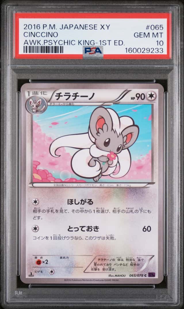Cinccino
