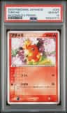 Torchic