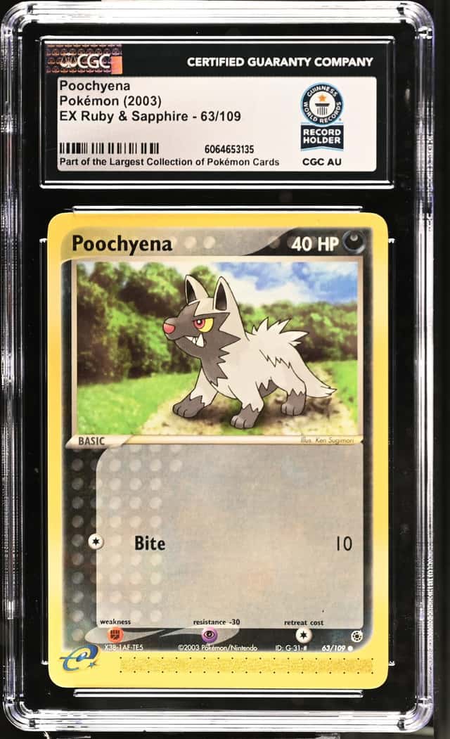 Poochyena