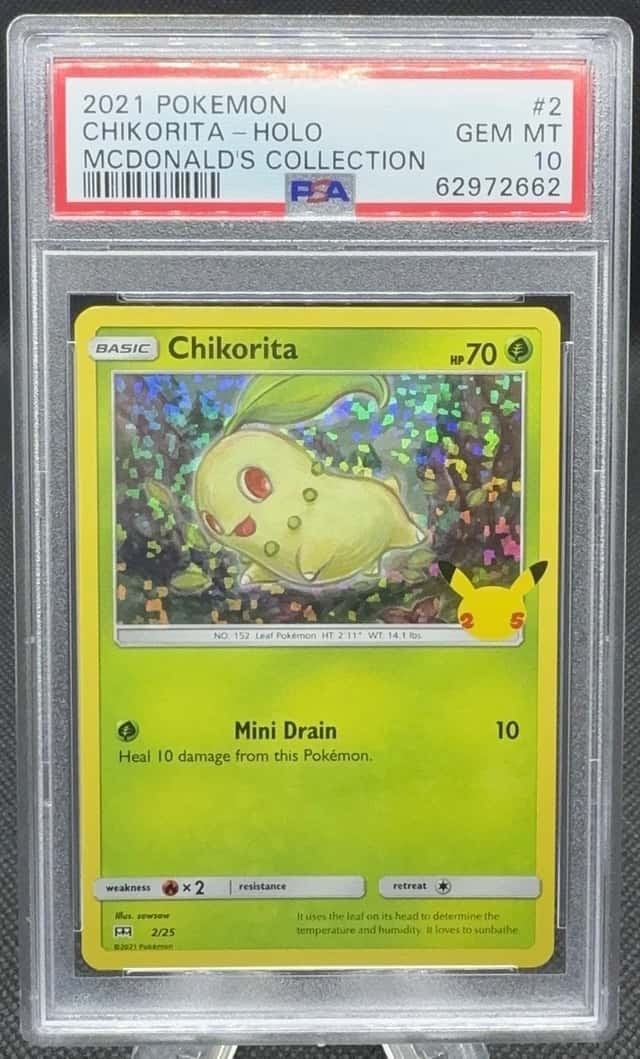 Chikorita