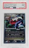 Darkrai Lv X