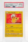Ash'S Pikachu