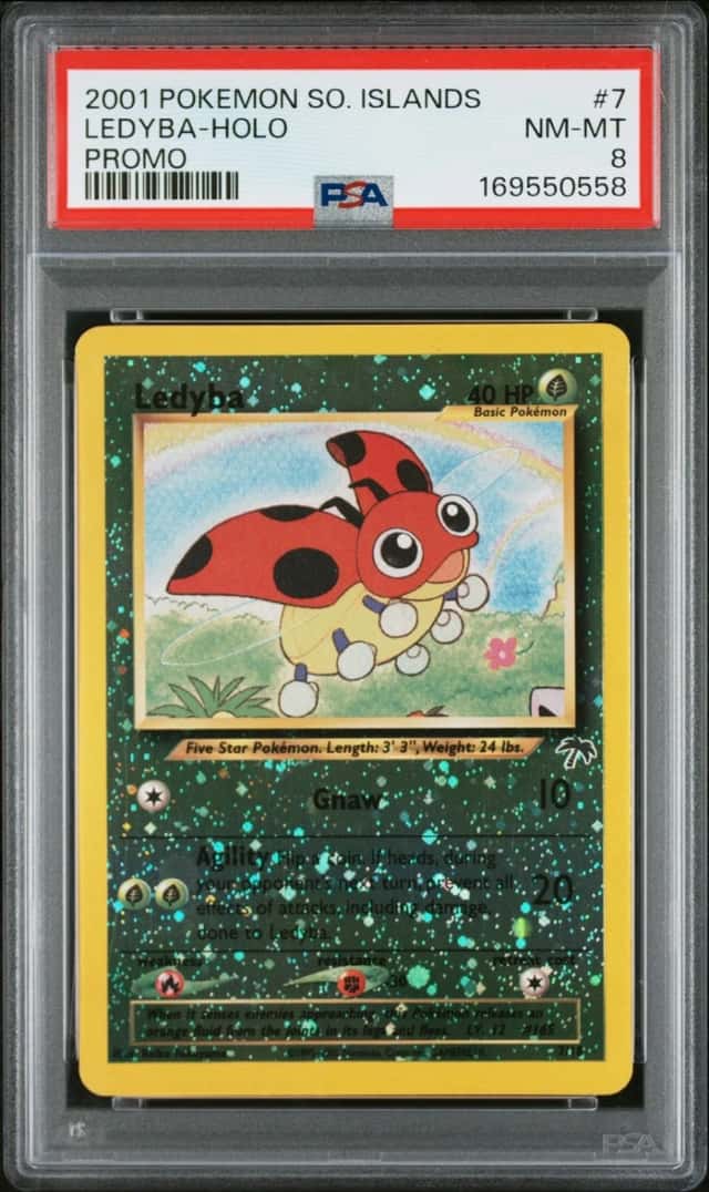 Ledyba