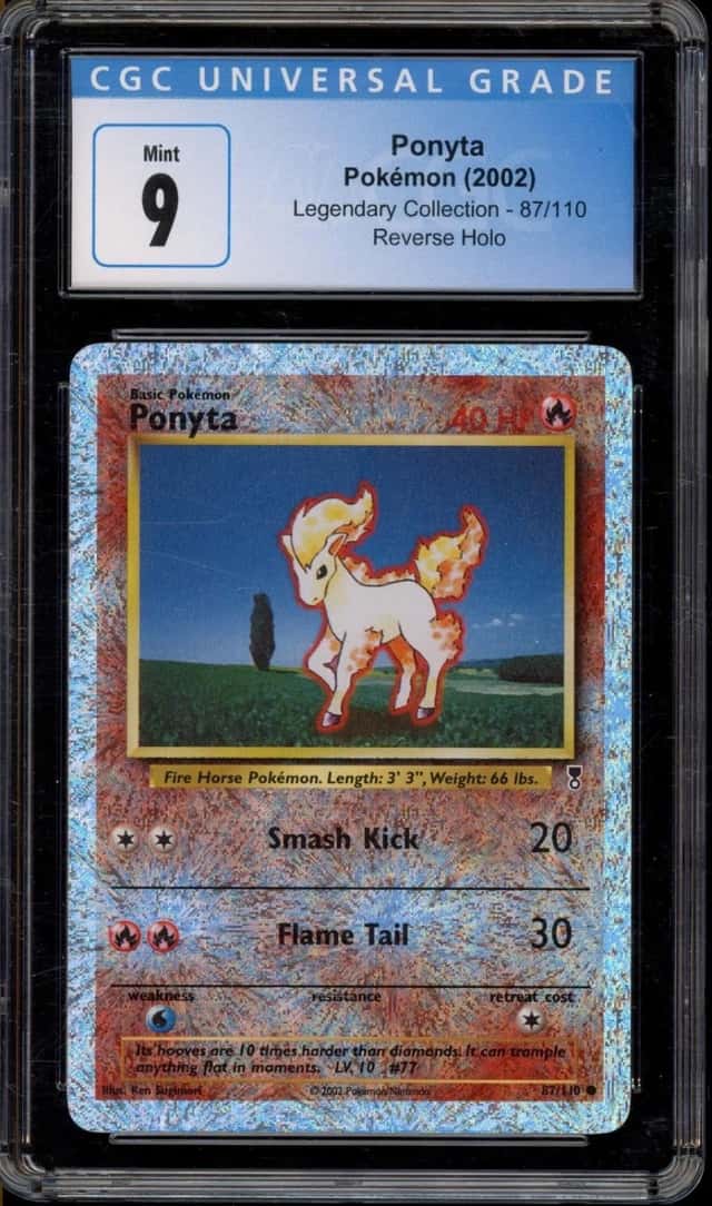 Ponyta