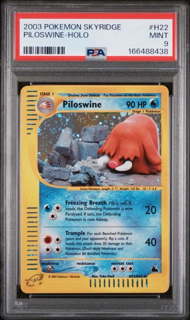 Piloswine