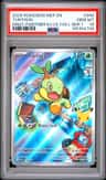Turtwig
