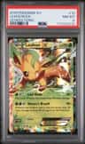 Leafeon Ex