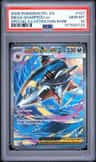 Mega Sharpedo Ex