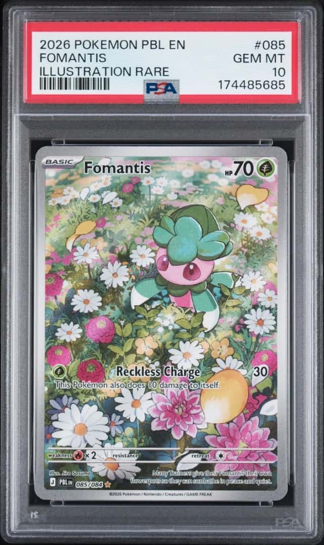 Fomantis