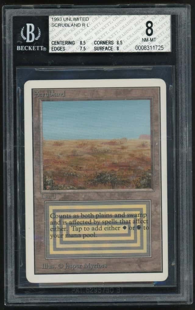 Scrubland R :L: