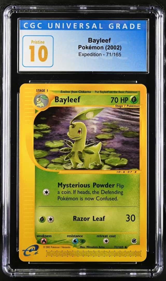 Bayleef