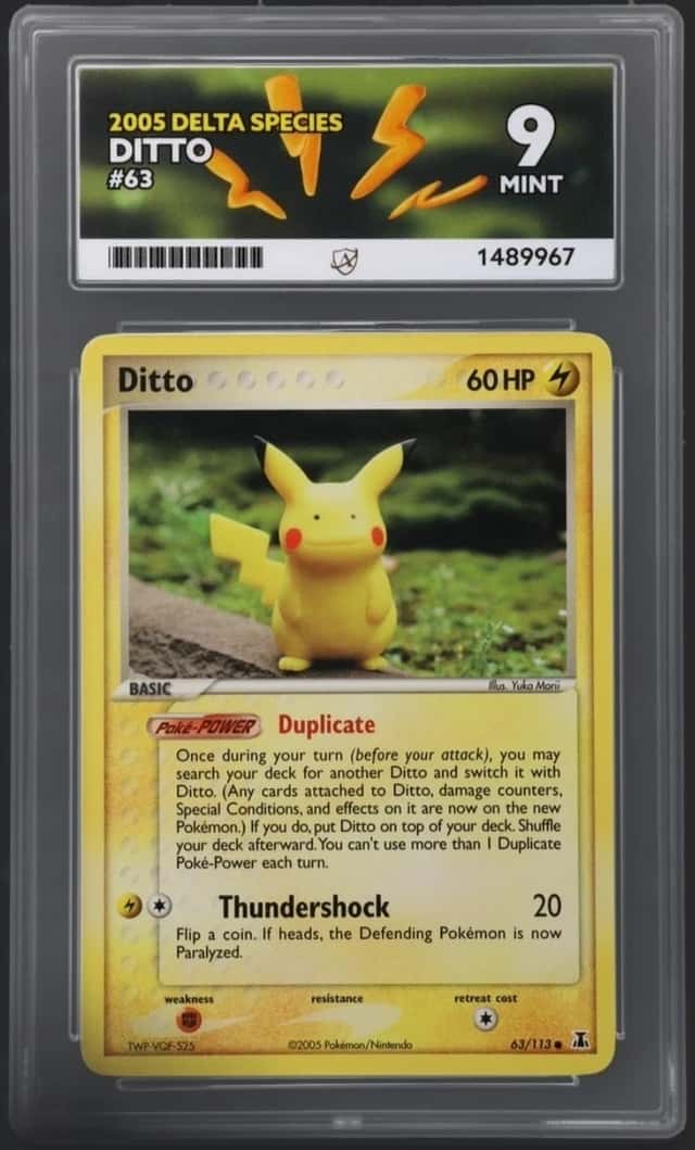 Ditto [Pikachu]