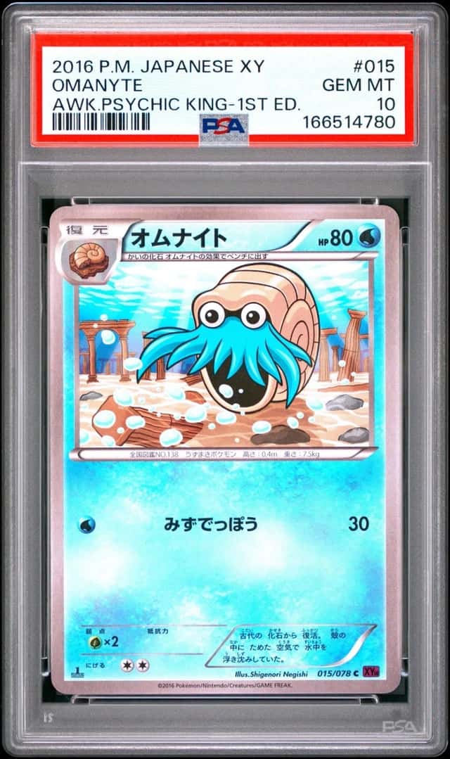 Omanyte