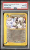 Magneton