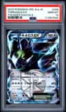 Tornadus Ex
