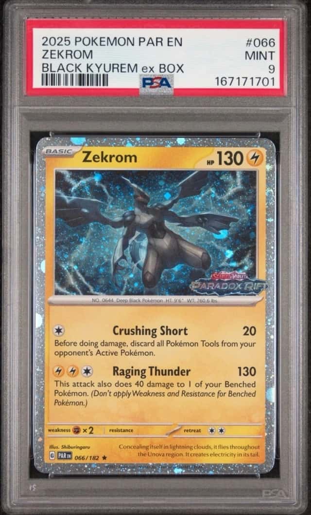 Zekrom