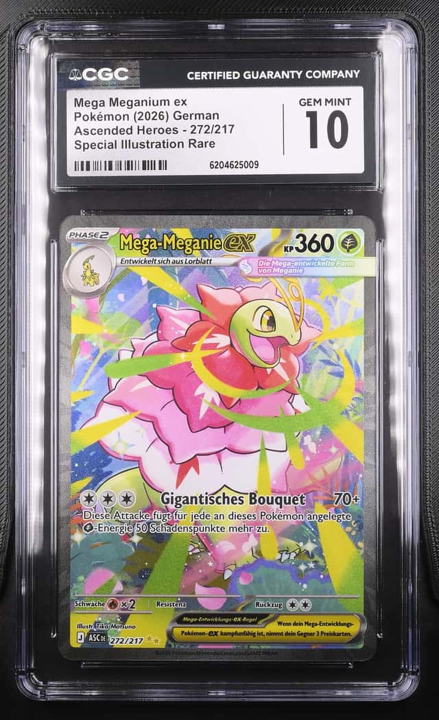 Mega Meganium ex
