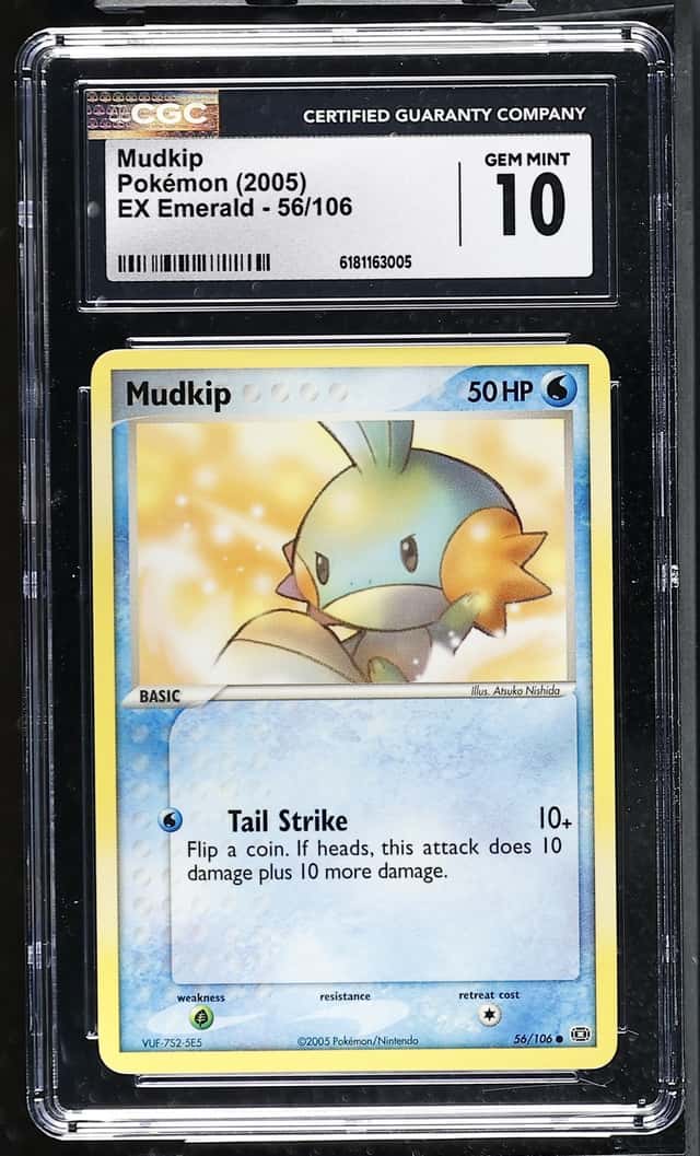 Mudkip