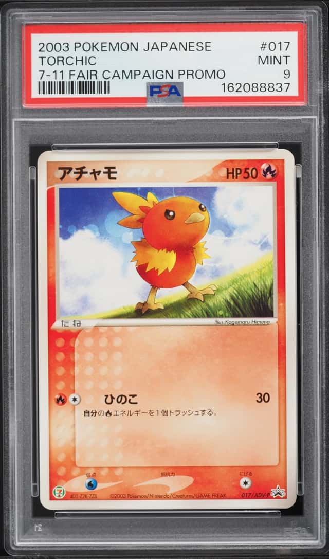 Torchic