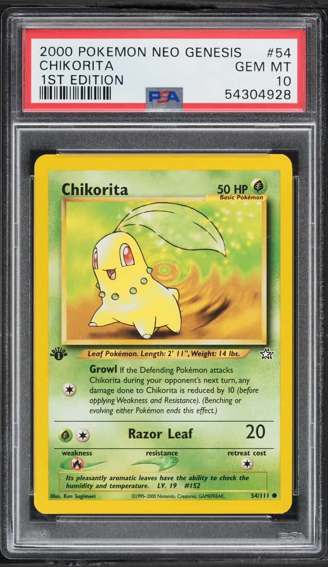 Chikorita