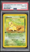 Chikorita