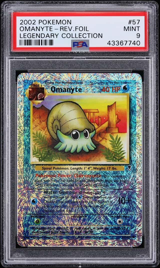 Omanyte