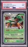 Torterra Lv X
