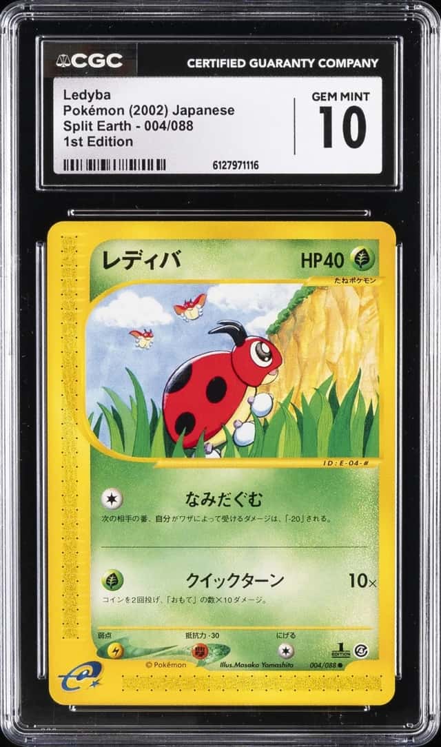 Ledyba