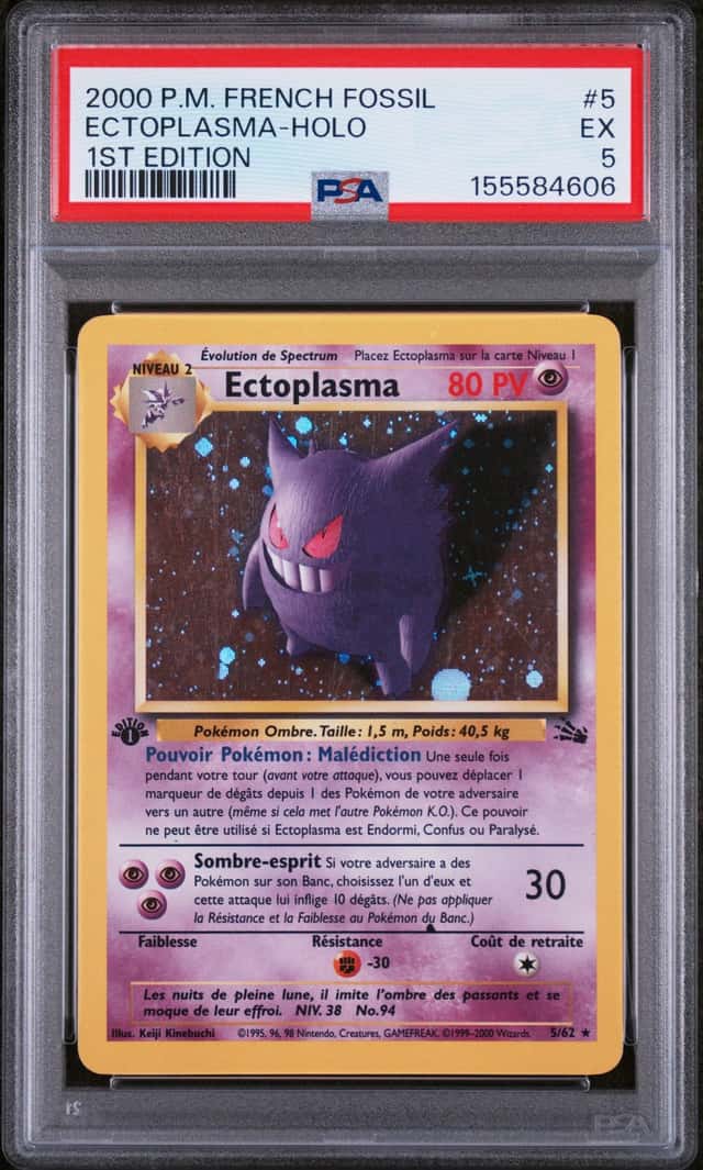 Ectoplasma