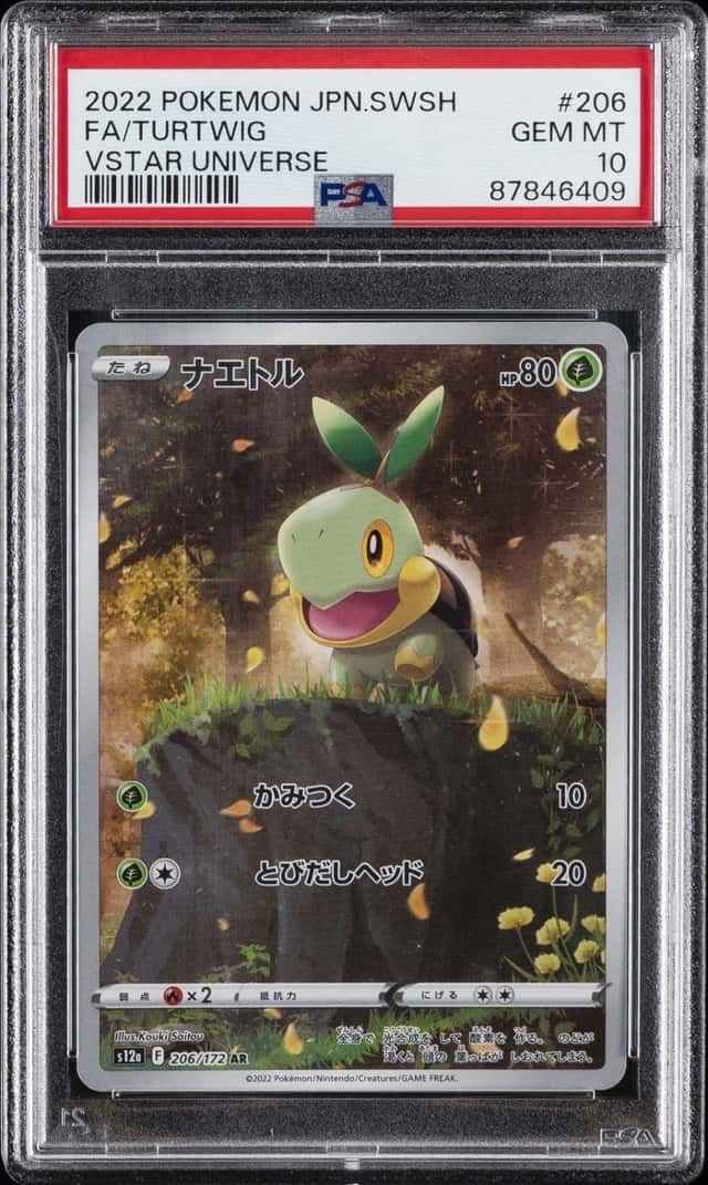 Turtwig
