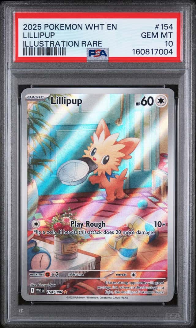 Lillipup