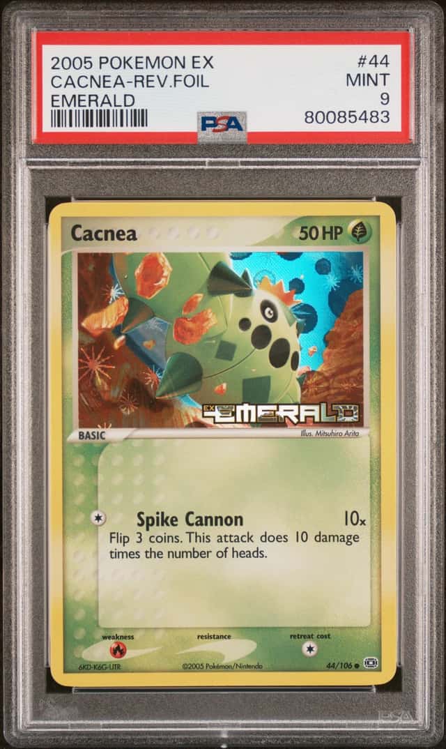 Cacnea