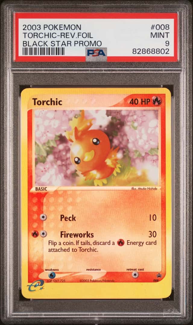 Torchic