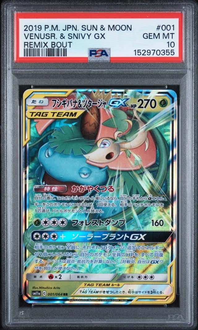 Venusaur & Snivy GX