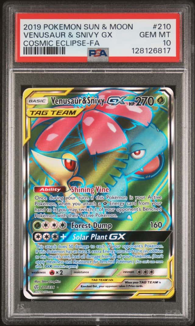 Venusaur & Snivy GX