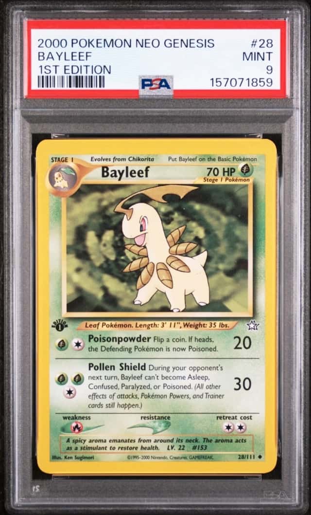 Bayleef