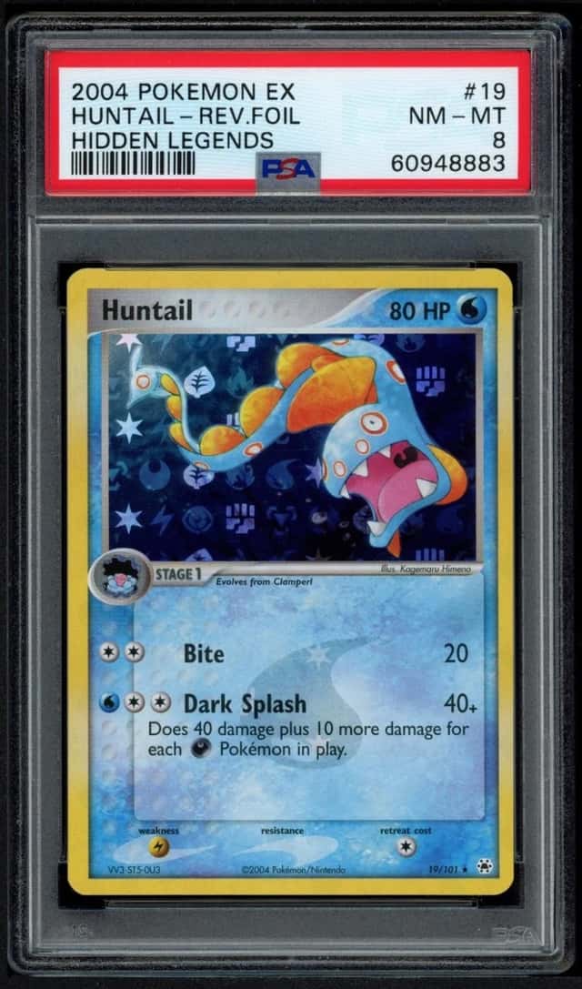 Huntail