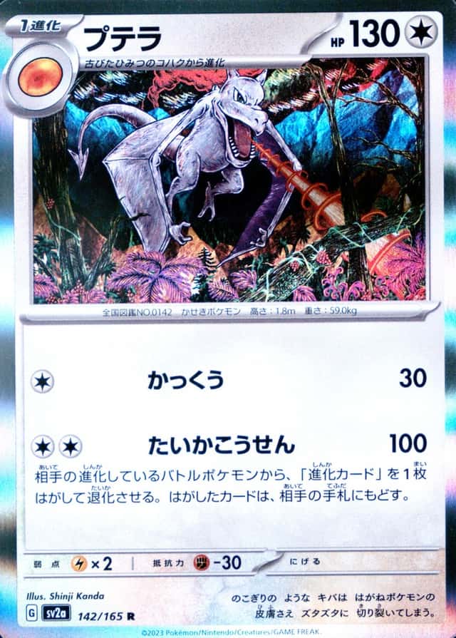 Holo