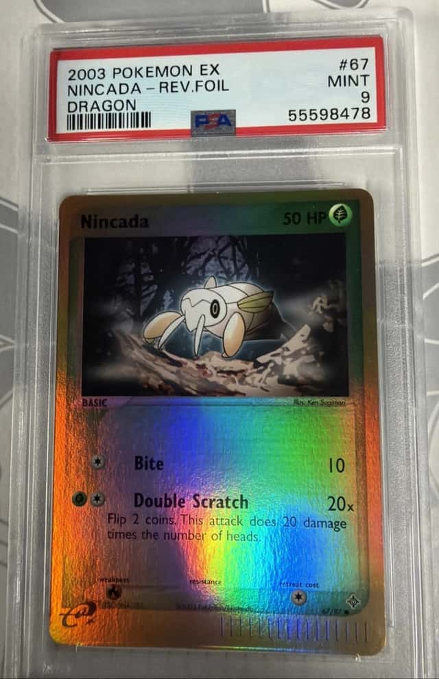 Nincada