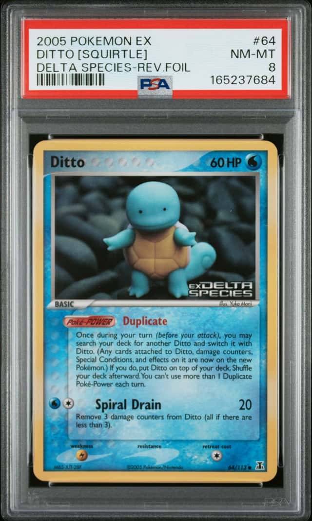 Ditto [Squirtle]