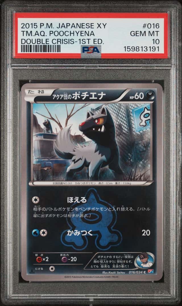 TM.AQ. POOCHYENA