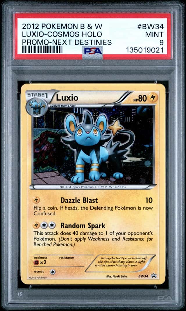 Luxio-Cracked Ice