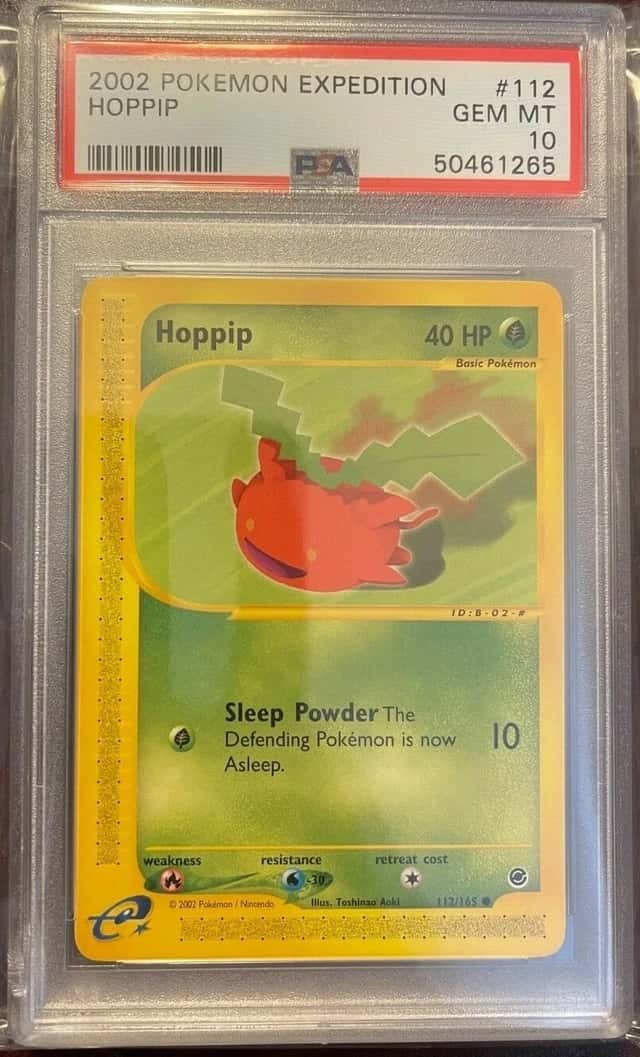 Hoppip