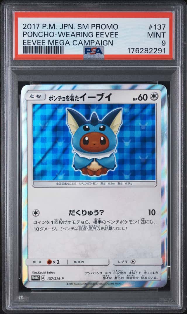 Poncho-wearing Eevee