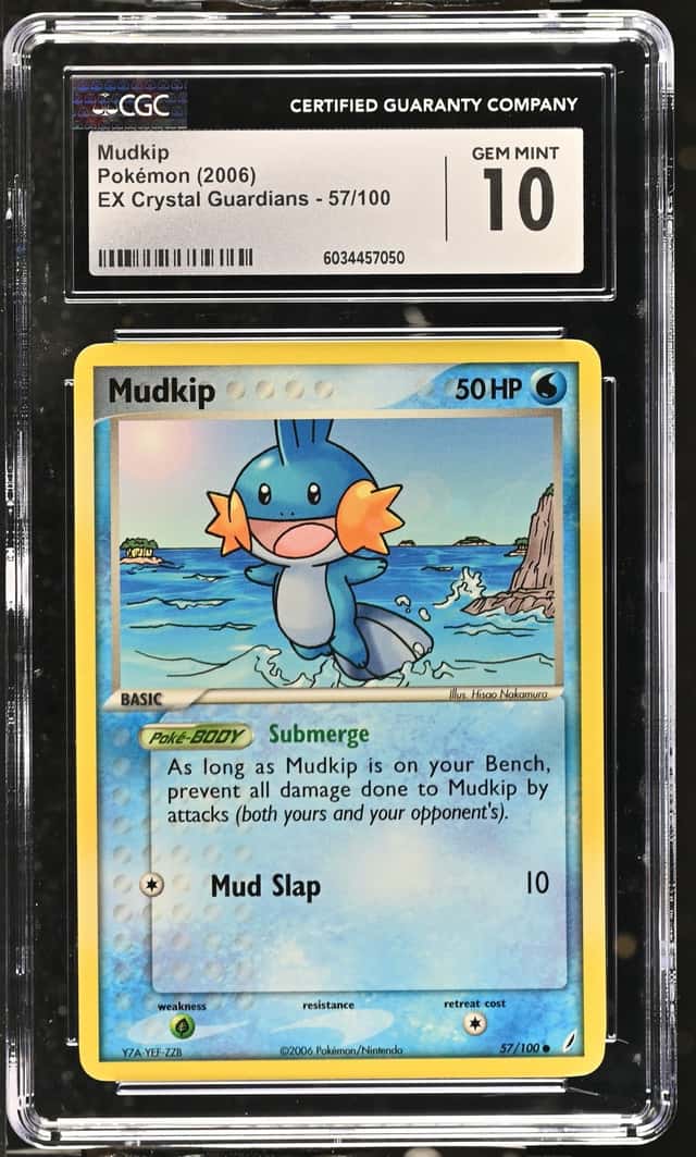 Mudkip
