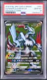 White Kyurem Gx