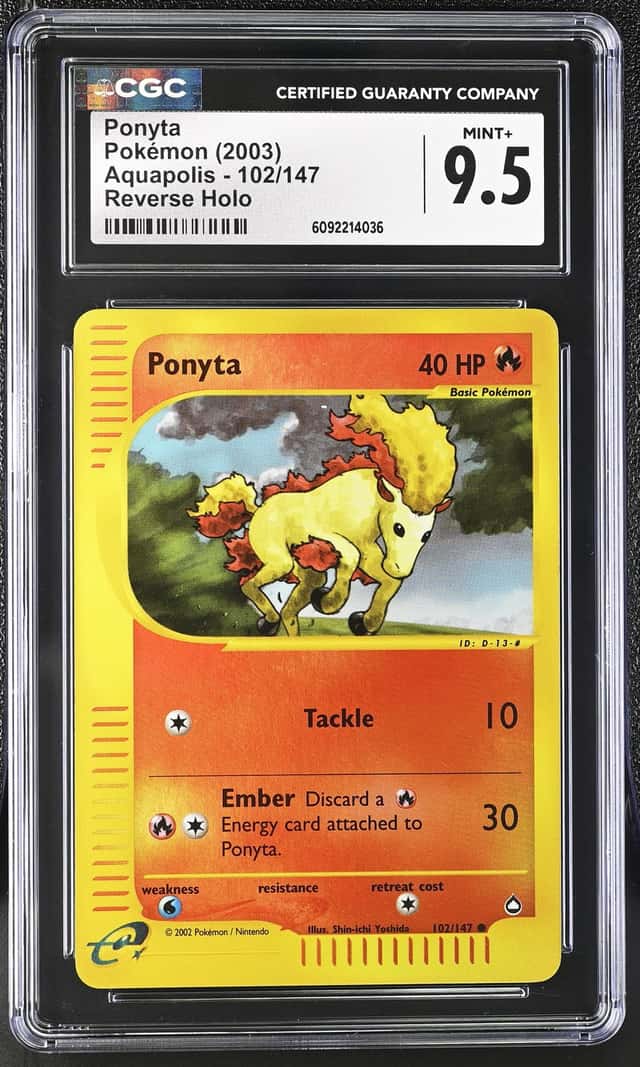 Ponyta
