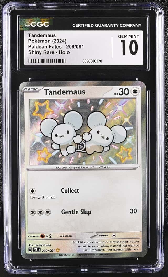 Tandemaus