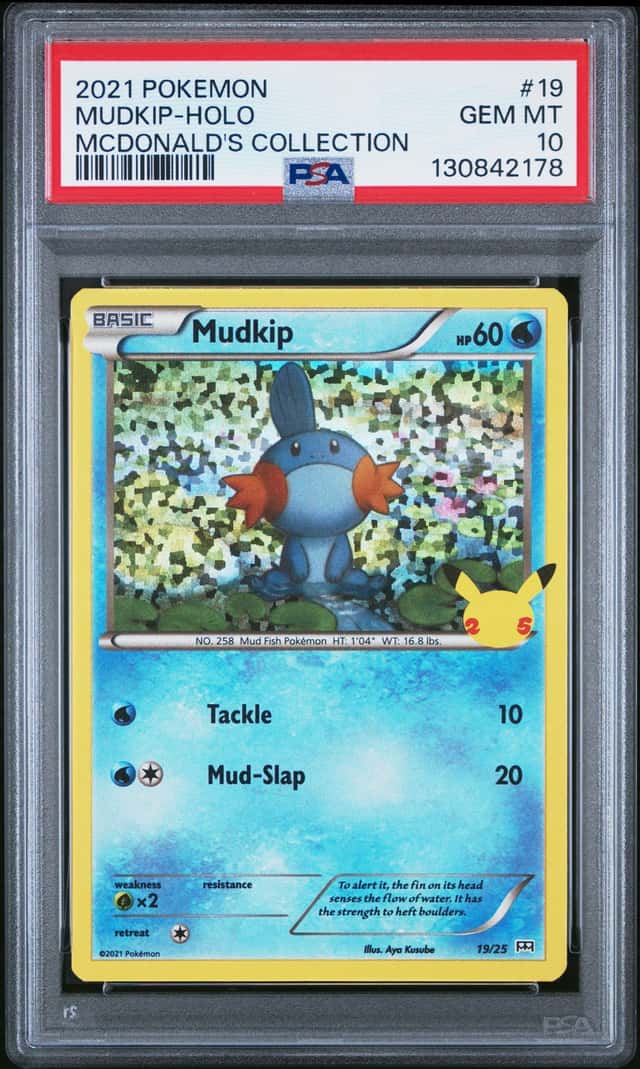 Mudkip